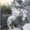 供應惠安石雕動物 石雕馬 景觀動物雕塑 石雕駿馬 石雕八馬