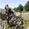 產地批發園林景觀石 高度2.2m長度2.6m厚度1.1m牛氣沖天太湖石