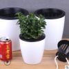 批發(fā)自動吸水懶人花盆 水培懶人盆 塑料樹脂大號創(chuàng)意綠蘿盆栽花盆