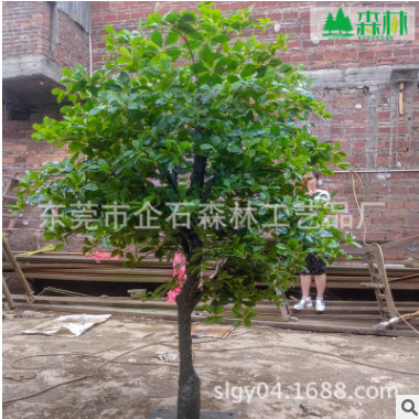 批發仿真福祿桐盆栽 仿真手感圓葉小榕樹 北歐酒店裝仿真盆栽綠植