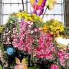 節(jié)日雕塑_花卉雕塑_鮮花造型_活動慶典_花藝造型
