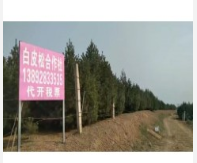 QQ截圖20190718174234