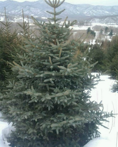 QQ截圖20190929093224