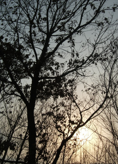 QQ截圖20190929093330