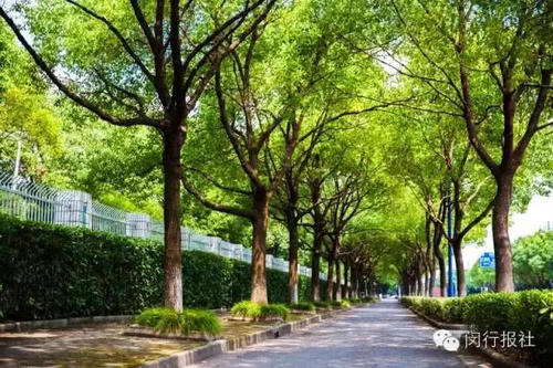 u=3364842068,1323965458&fm=26&gp=0