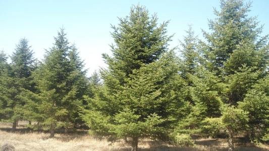 u=3865701954,1740824871&fm=26&gp=0