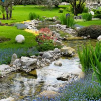 南陽(yáng)成功申辦2020首屆世界月季博覽會(huì)