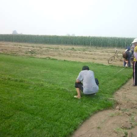 wKgGMFVDTdCANXKoAABQ-M-C6YM391