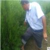 苗木基地直銷不脫腿側(cè)柏苗 營(yíng)養(yǎng)缽側(cè)柏苗 嫁接用當(dāng)年側(cè)柏小苗