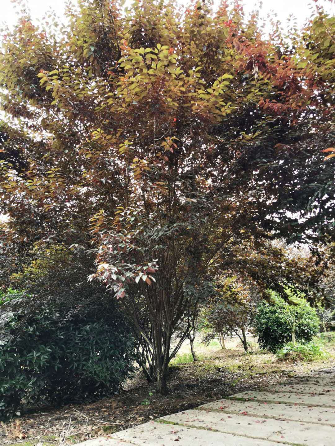 微信圖片_20200731094525