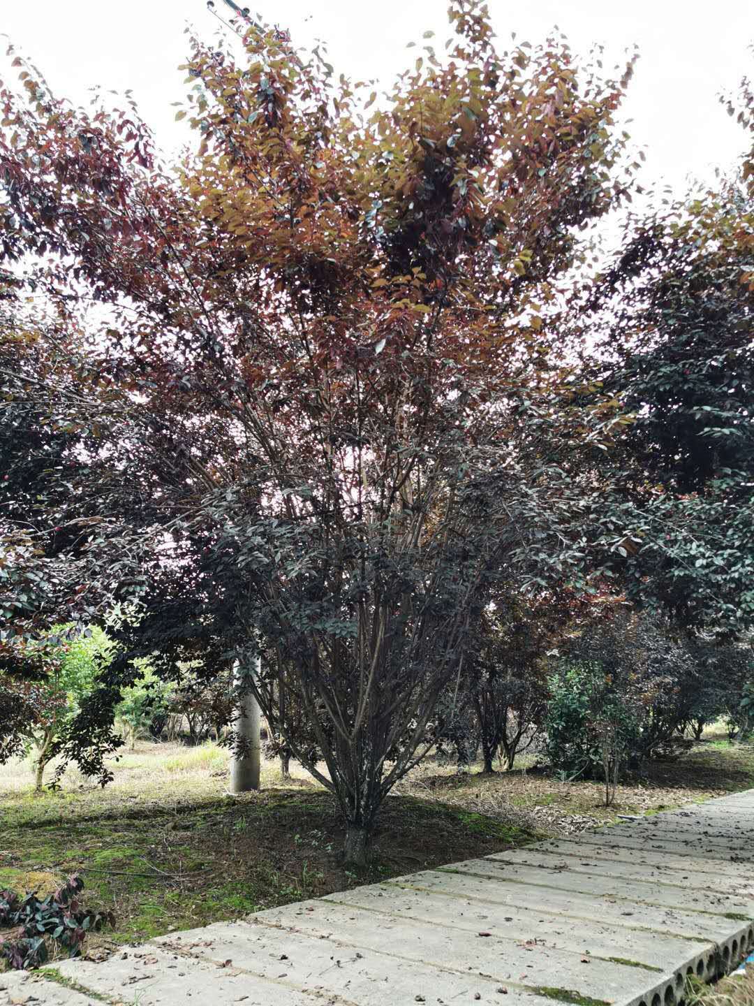 微信圖片_20200731094530