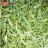 供應(yīng)安吉白茶苗 移栽苗黃金芽茶苗 一年生優(yōu)質(zhì)龍井鐵觀音茶苗批發(fā)