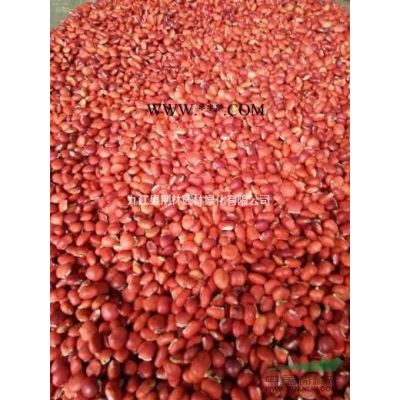 高于優質的樂昌含笑小苗