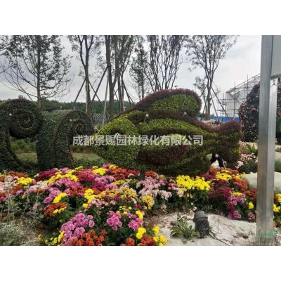 日本紅楓，紅楓基地，4-5公分紅楓