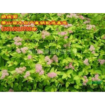 蕭山苗木一站式供應(yīng)鏈服務(wù)商：紫薇/碧桃/海棠/櫻花/玉蘭紅楓