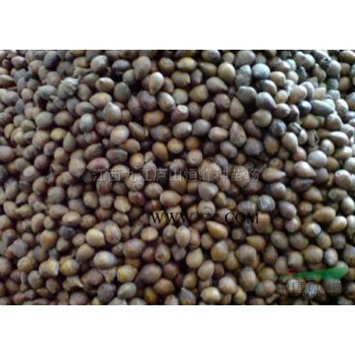 青岡櫟、鹽膚木、黃連木、樸樹、桂花、馬褂木、無患子、紅豆杉