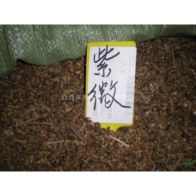 江西大量批發兩公分烏桕三公分烏桕四公分烏桕，采購兩公分烏桕三