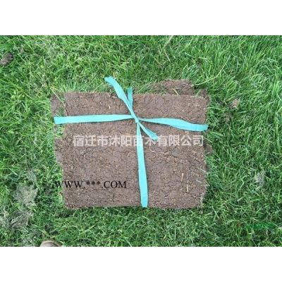 楓香價(jià)格_楓香圖片_楓香產(chǎn)地_楓香綠化苗木苗圃基地