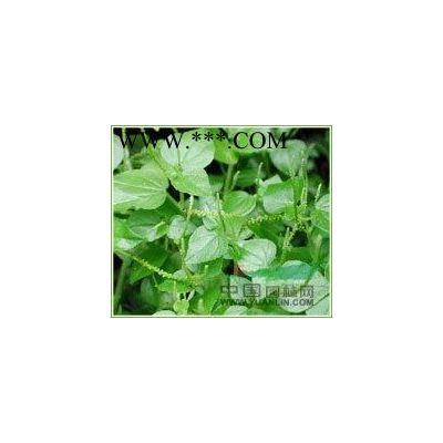 白蠟河北白蠟*便宜的白蠟在定州