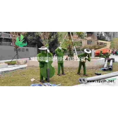 大葉黃楊基地，大葉黃楊價格，大葉黃楊