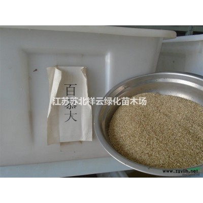 江蘇品種月季信息