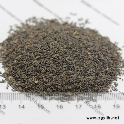 全國大量低價供花海適于小區工程綠化苗木耐寒宿根花卉松果菊