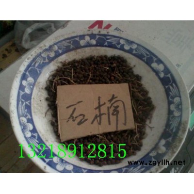 綠化苗木種子，花木種子，花卉種子