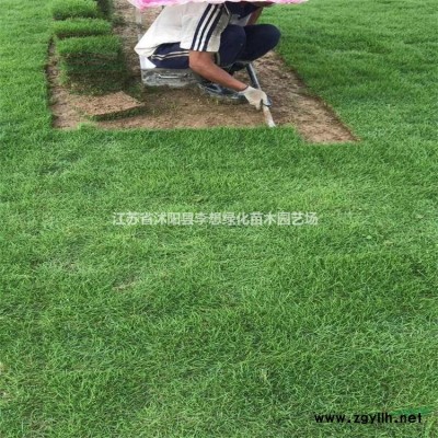 供應紅葉小檗,紅王子錦帶.金葉女貞.小葉女貞.蜀檜