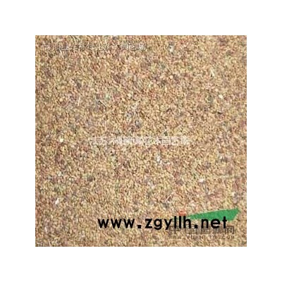 供應(yīng)樹(shù)樁月季 獨(dú)桿月季 月季樹(shù)圖片 樹(shù)樁月季價(jià)格