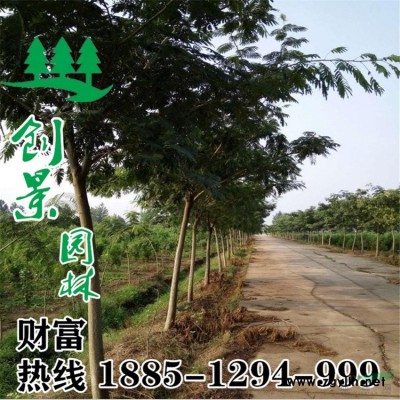 【紅王子錦帶】紅王子錦帶_價(jià)格_圖片_產(chǎn)地報(bào)價(jià)表