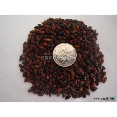 棣棠、連翹、云南黃馨、綠梅、木繡球