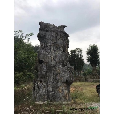 湖北供應全冠三角楓 隨州全冠三角楓規格*