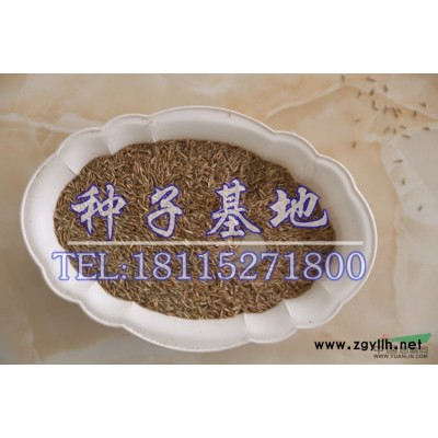 木槿、廣玉蘭、白玉蘭、薔薇、迎春、連翹