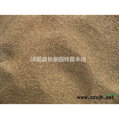 紅瑞木*新報(bào)價(jià)
