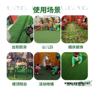 連翹、云南黃馨、十大功勞、落羽杉