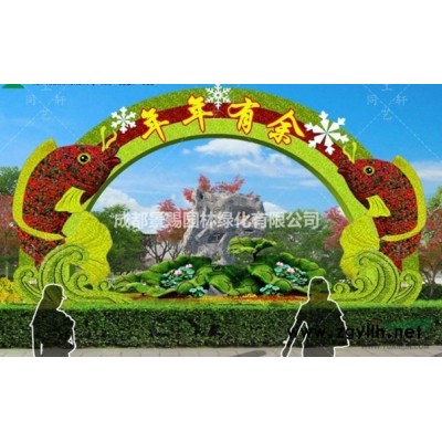 花石榴批發基地供應 各類規格花石榴