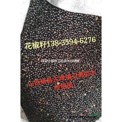 陜西3年生結(jié)果藥用連翹苗  80厘米高，地徑0.6厘米