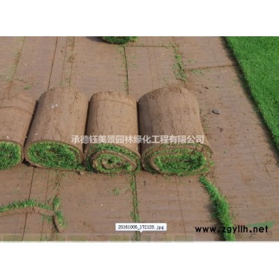 呼和浩特草坪價(jià)格 呼和浩特綠化草坪 呼和浩特草坪廠家 銷(xiāo)售草