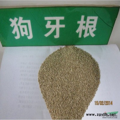 批發四季青草籽 護坡草坪種子 園林綠化草皮草籽