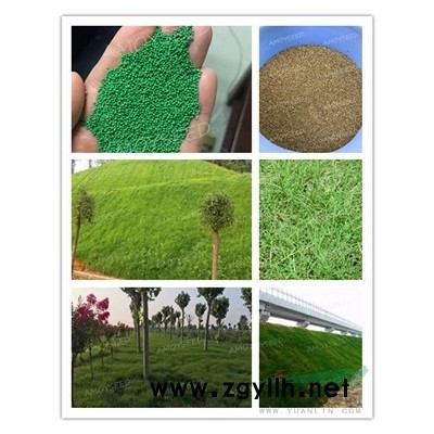 波斯菊種子<景觀花海品種>