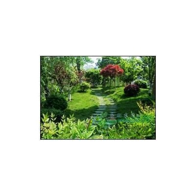 上海綠化養護 浦東綠化養護 植物租擺 綠化改建 綠化苗木