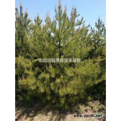 山西蜀儈·2米蜀儈·2.5米蜀儈·3米蜀儈·3.5米蜀儈報(bào)價(jià)