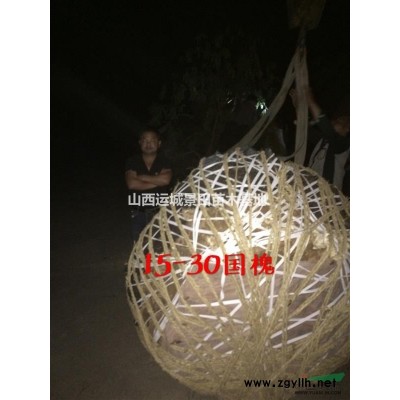 運城6-8公分桃樹報價·運城8-10公分桃樹價格·供應桃樹