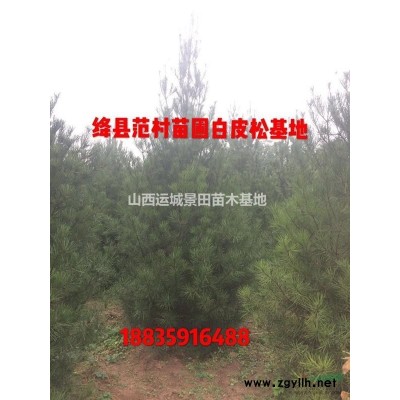 3米蜀儈多少錢？哪有3.5米蜀儈？山西3米蜀儈價(jià)格是多少？