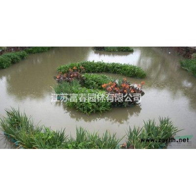 耐寒地被宿根花卉 婆婆納 粉色婆婆納適合花海工程坡地綠化