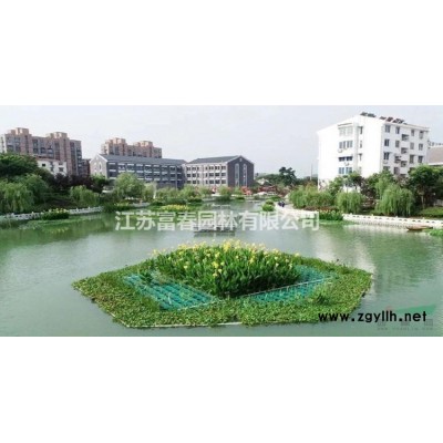 仿真植物造型綠雕 可定制人物綠雕擺件 園林景觀立體花壇