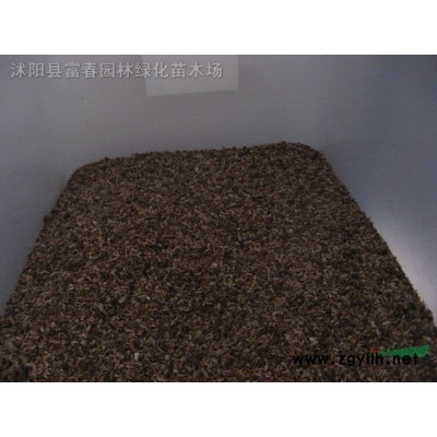 供應仿真綠雕 室內外裝飾動物造型景觀設計 可定制人造綠雕