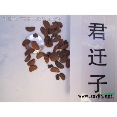 稻草人定做工藝品制作卡通生肖動物造型稻草文化藝術