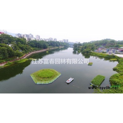 基地平枝栒子苗批發 綠化苗木平枝栒子苗批發 平枝荀子銷售