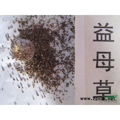 抗風浪浮島_人工浮島案例_施工供應商